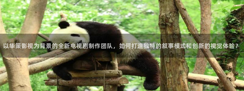 蜜桃視頻,