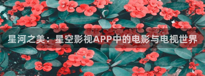 蜜桃h激情影院：星河之美：星空影視APP中的電影與電視世界